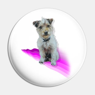 Scruffy Jack Russell Terrier on a rainbow wave! Pin