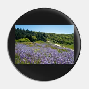 Lupine flowers on a hillside Pin