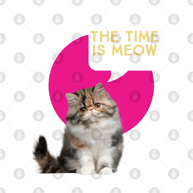 The time is meow by Kamaloca