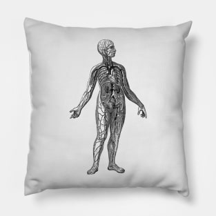 Venous System Diagram - Vintage Anatomy Pillow