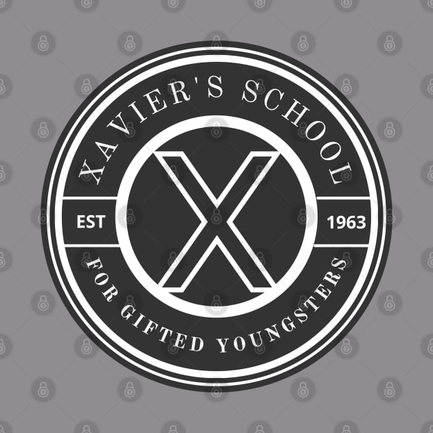 Xavier's School For Gifted Youngsters by RedMonkey414