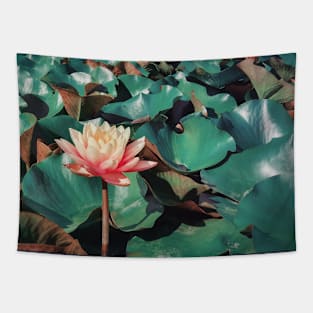 pink lotus Tapestry