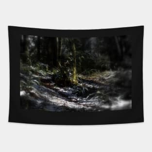 snowy Oregon forest 9 Tapestry