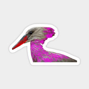 Bird Paradise Magnet