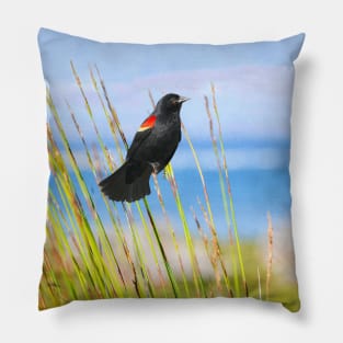 Summer Red Winged Blackbird Pillow