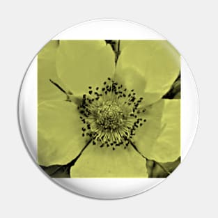 Glacier National Park, flower tint Pin