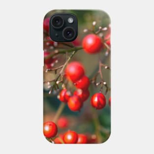 Photography - winter red berry Phone Case