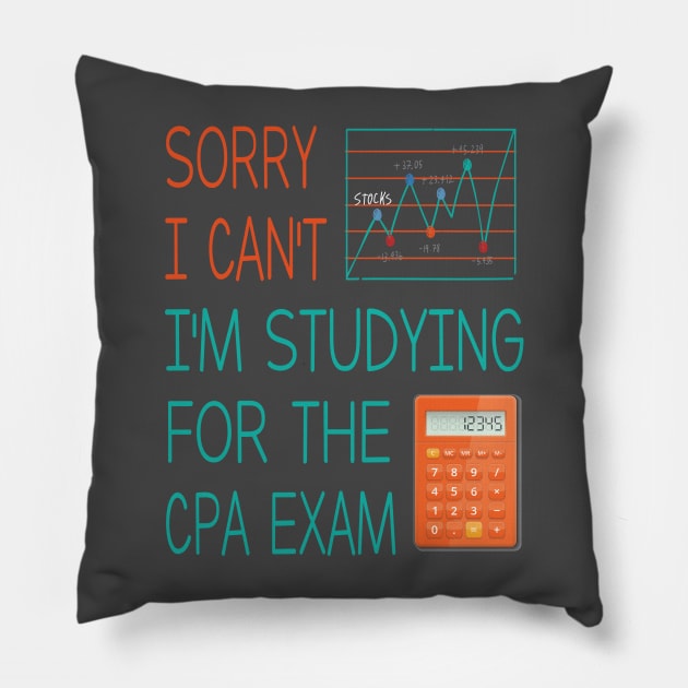 Sorry i can't i'm studing for the cpa exam Funny Accountant Pillow by Just Be Cool Today