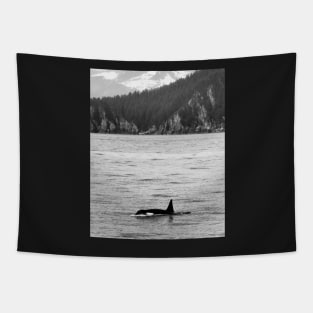 Orca and Snow-Capped Mountains at Resurrection Bay in Alaska Tapestry