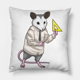 Opossum Teacher Triangle ruler Math Pillow