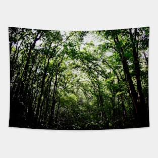 Tree Crowns Jungle / Swiss Artwork Photography Tapestry