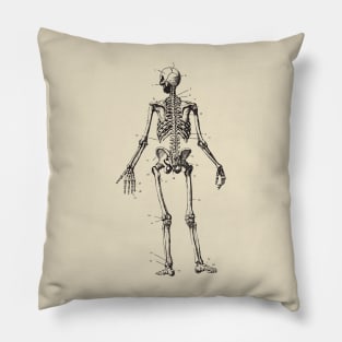skeleton anatomy Pillow