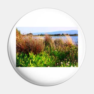 Wild Meadow by the Lake. Shoreline Park 2011 Pin