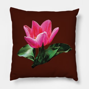 One Pink Tulip Pillow