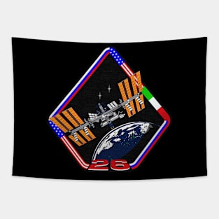 Black Panther Art - NASA Space Badge 82 Tapestry