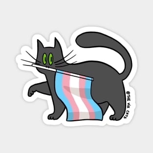 Transgender Pride Magnet