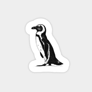 African Penguin Magnet