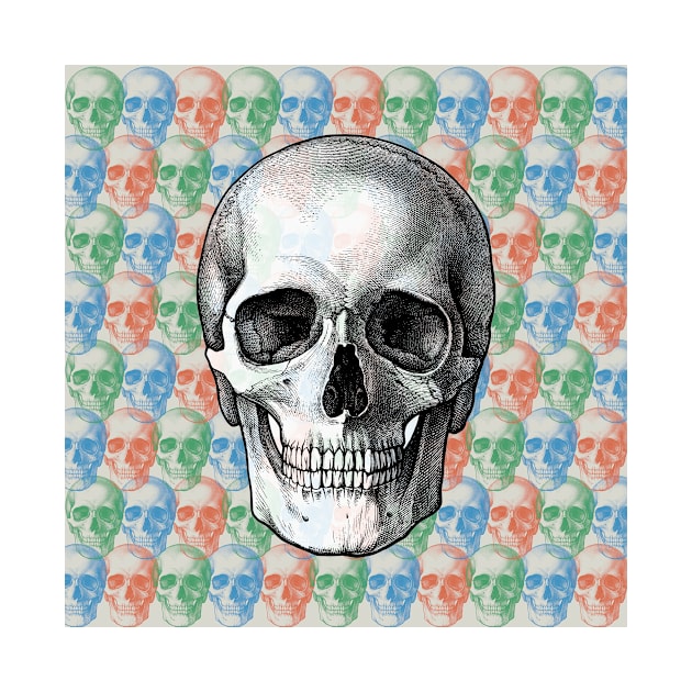 RGB Skulls by Artboy