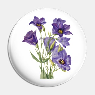 Purple Flowers painting, Eustoma russelianum (1930) by Mary Vaux Walcott Pin