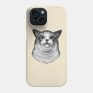 Awkward cat Phone Case