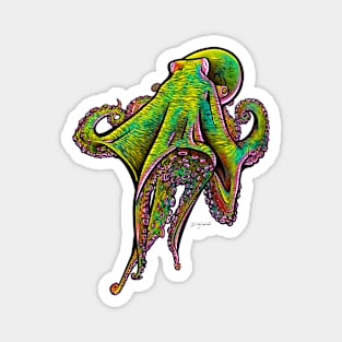 Octopus 09 (no background) Magnet