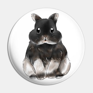 BOBBY GOOD RABBIT BOY Pin