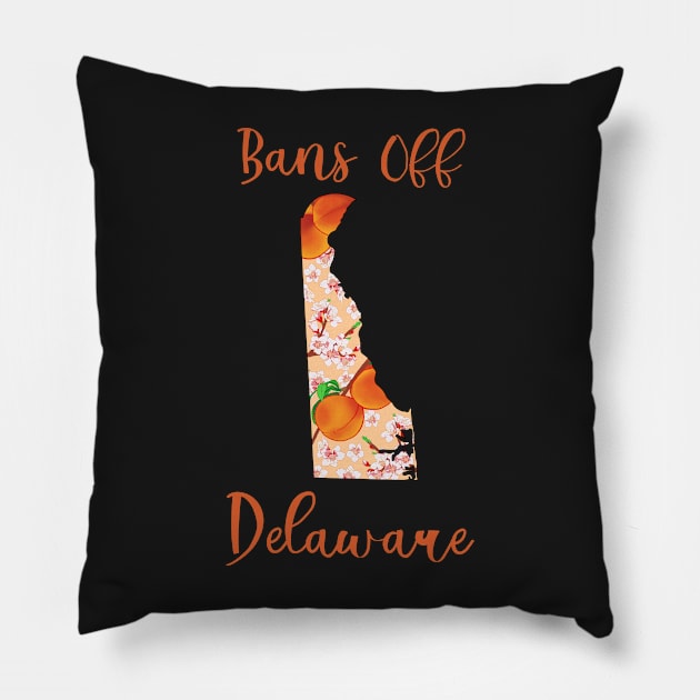 Bans Off Delaware Pillow by ziafrazier