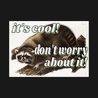 it's cool! don't worry about it! little guy raccoon T-Shirt