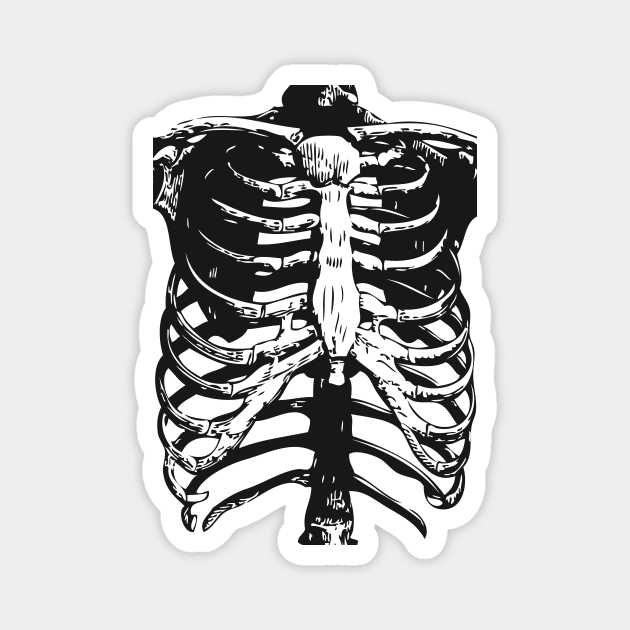 Skeleton Ribs | Skeletons | Anatomy | Bones | Rib Cage | Magnet by Eclectic At Heart