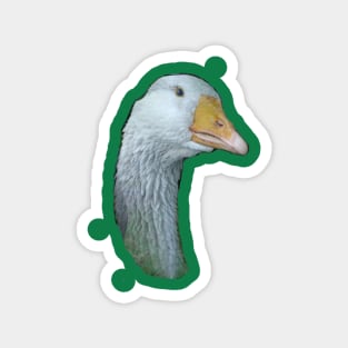 The Glorious Gander Magnet