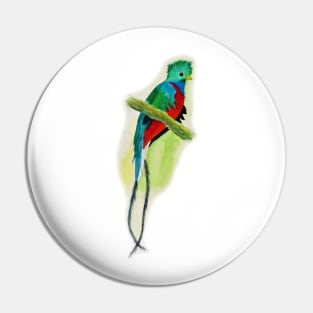 Hand Painted Watercolor Quetzal Pin