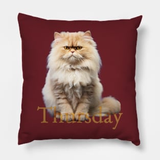 Thursday cat. Still holding! Pillow