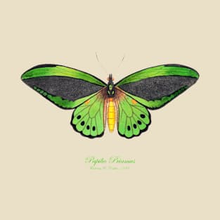 Butterfly - Common Green Birdwing, Priam's Birdwing or Northern Birdwing, Cape York Birdwing aka Papilio Priamus or Ornithoptera Priamus T-Shirt