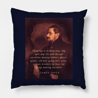 James Joyce portrait and quote: Every life is in many days, day after day. .. Pillow