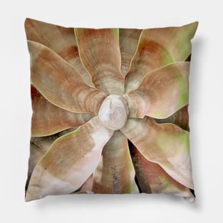 Agave Plant Pillow