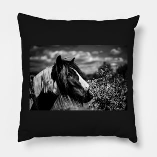 Black And White Horse Pillow