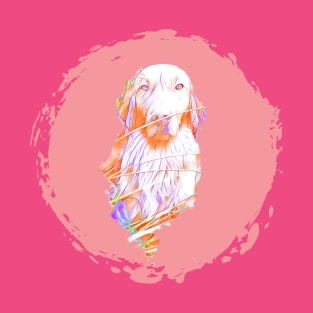 Doggess in Pink T-Shirt