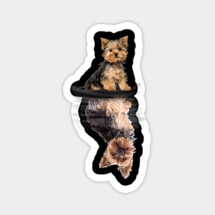 Yorkshire terrier lovers Magnet