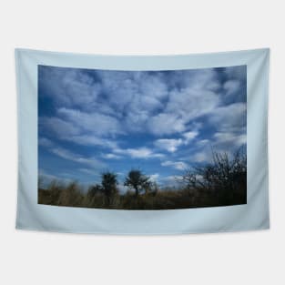 White Fluffy Clouds in a Cluster Tapestry