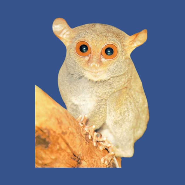 Tarsier animal by Yriah 