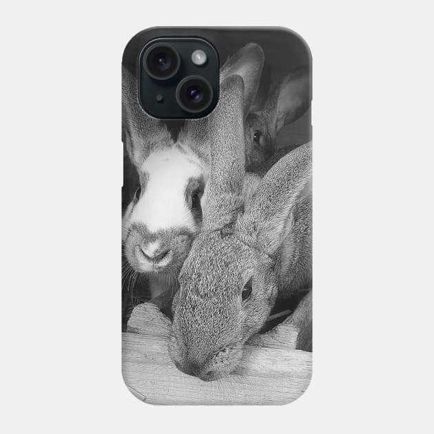 Rabbits Phone Case by Kate-P-