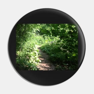 Path in the forest Pin