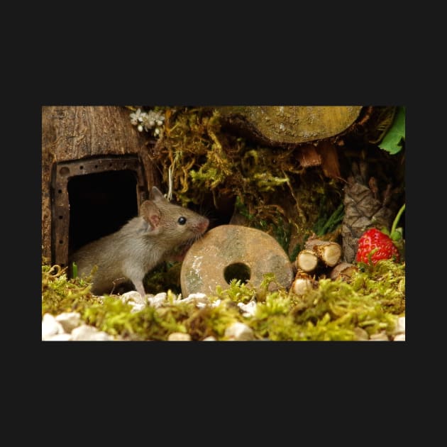 little mouse in a log pile house by Simon-dell