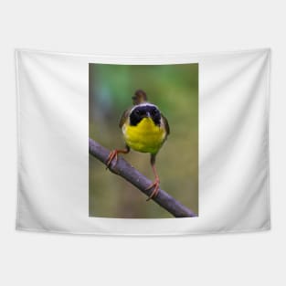 Common Yellowthroat stare Tapestry