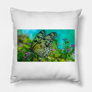 butterfly Pillow