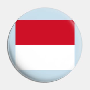 Monaco Flag Pin