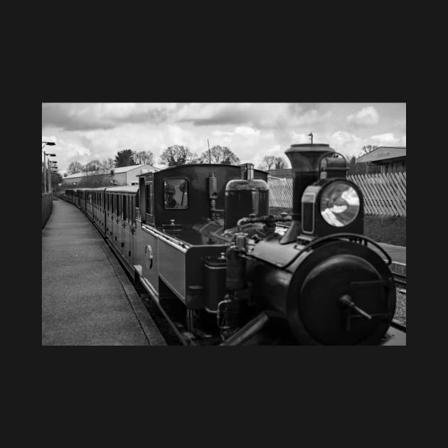 Small steam locomotive coming in to the station by yackers1