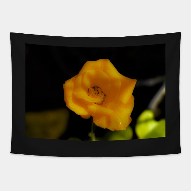 Yellow rose blossom Tapestry by kall3bu