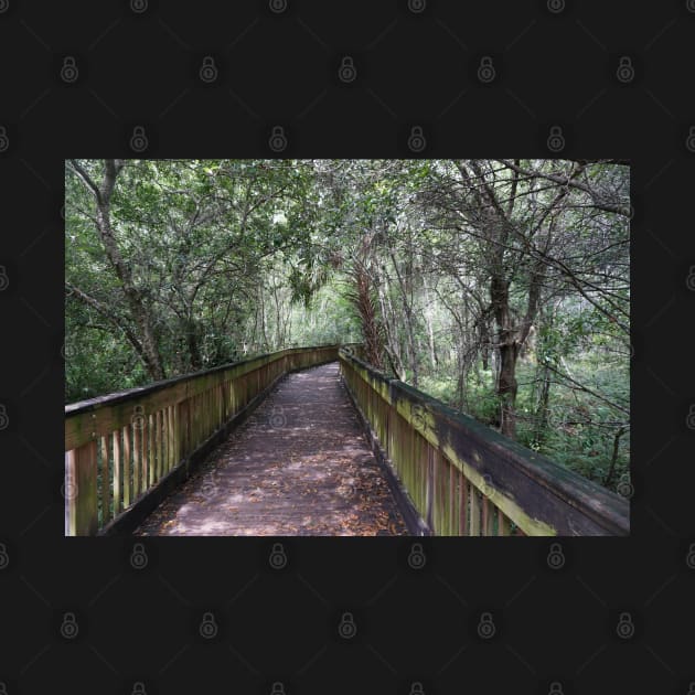 Hiking Florida Marsh by Sparkleweather