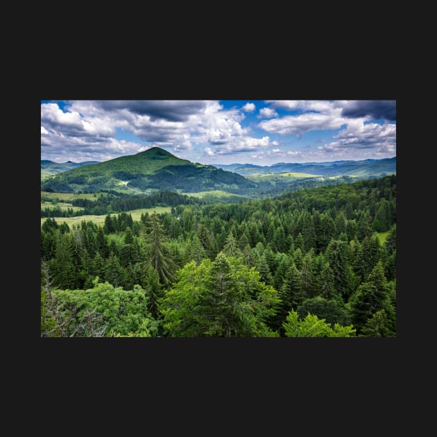 Mountains covered in pine trees by naturalis